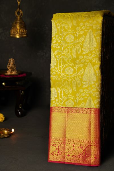 Luxury Silk Collection Saree
